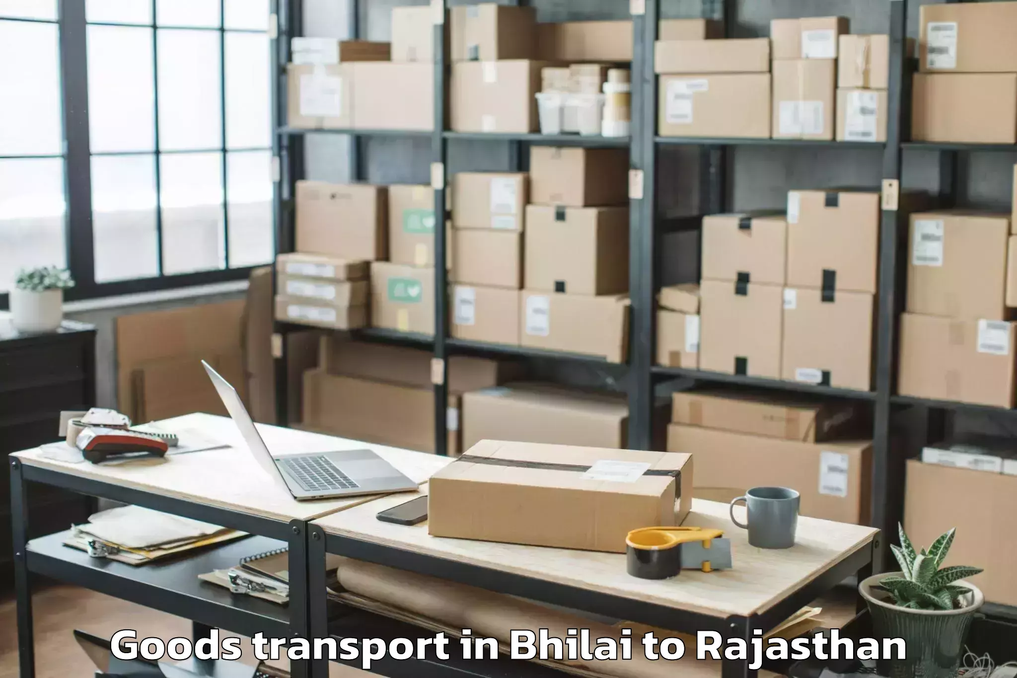 Discover Bhilai to Aspur Goods Transport